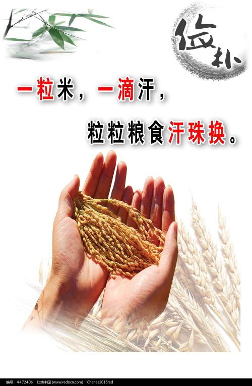 伍斯特大学理工科文凭证书